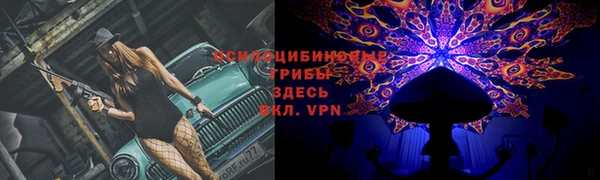 спайс Заволжье
