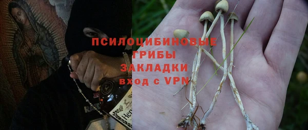 герыч Ельня