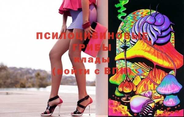 spice Заволжск