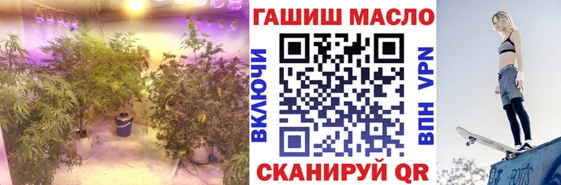 ТГК THC oil Кировград