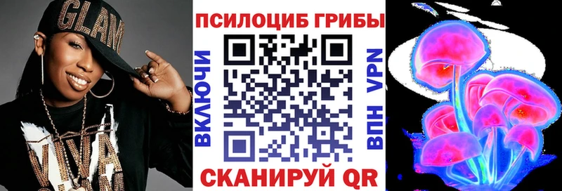 где найти наркотики  Кировград  mega ссылки  Галлюциногенные грибы MAGIC MUSHROOMS 